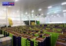 افزایش ۳۰ درصدی صادرات محصولات کشاورزی فسا/ صدور مجوز نهایی مجتمع دامپروری صغاد پس از ۴۳ انتظار