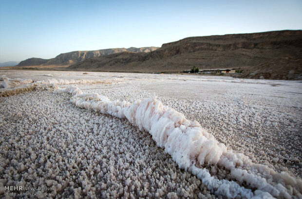 جلوگیری از توزیع نمک‌های آلوده‌ به فاضلاب شهری در دریاچه مهارلو!/ حسینی: علوم پزشکی شیراز از سلامت انسان‌ها حراست می‌کند