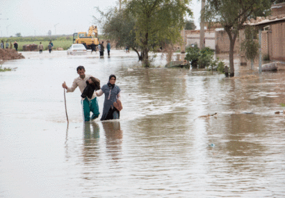 بارندگی‌‌های اخیر در فارس به بخش کشاورزی و دامی آسیب زد/ سمیه سلیمی: برآورد اولیه مدیریت بحران ۴۸هزار میلیارد ریال خسارت است