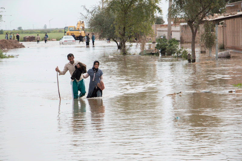 بارندگی‌‌های اخیر در فارس به بخش کشاورزی و دامی آسیب زد/ سمیه سلیمی: برآورد اولیه مدیریت بحران ۴۸هزار میلیارد ریال خسارت است