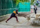 سگ‌های ولگرد فارس با شماره‌گیری ۱۳۷ جمع‌آوری می‌شوند/ پناهیان: جلوگیری از افزایش جمعیت این حیوانات نیازمند مدیریت است