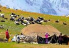 تامین آب شرب پایدار عشایر فارس با جدیت دنبال می‌شود/ میرزاوند: خشکسالی‌ها و تغییر اقلیم موجب بحران آب شده است