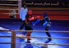 بوکس فارس در میان پنج هیات برتر کشور قرار گرفت/ نخستین مدال طلای المپیک بانوان بوکسر ایرانی رقم خورد
