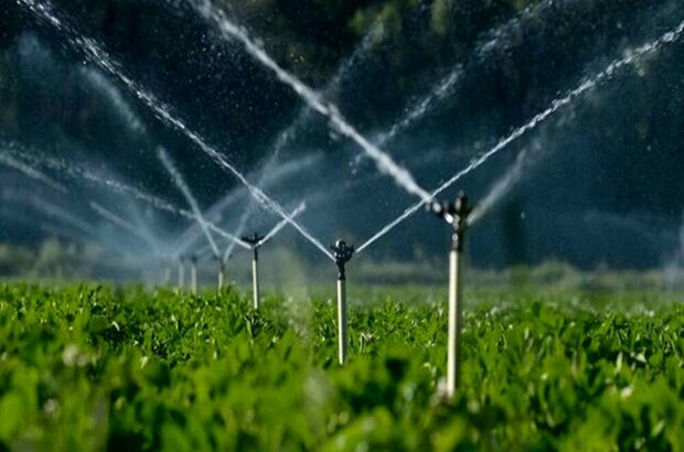 تحقق تکالیف کشاورزی برنامه هفتم توسعه با اجرای سامانه‌های نوین آبیاری/ نیازی: مدیریت آب در سند ملی امنیت غذایی کشور ضرورت دارد
