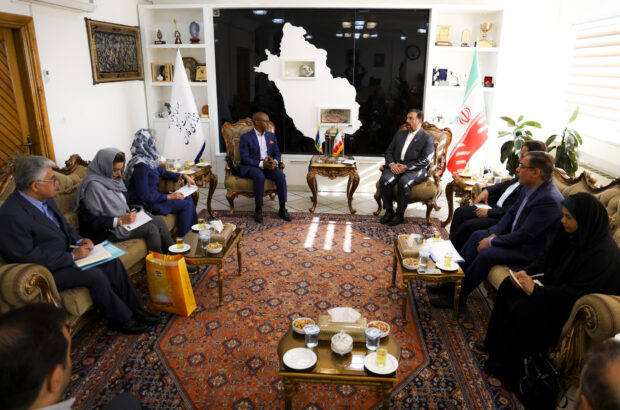 جاذبه‌های فارس باید انتخاب نخست گردشگران جهان باشد/ امیری: همکاری مشترک با آفریقای جنوبی نیازمند تدوین سند است