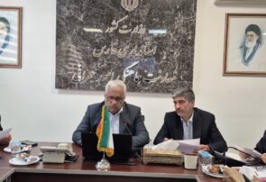 جلسات کارگروه زیربنایی به گسترش متوازن جنوب فارس کمک میکند/ رضاییکوچی: با استمرار این طرح از تصمیمگیریهای جزیرهای جلوگیری میشود