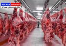 دولت در خرید حمایتی تولید مازاد صنعت دام و طیور اقدام می‌کند/ دهقان‌پور: این اقدام با هدف کاهش نگرانی تولیدکنندگان و افزایش ذخایر استراتژیک است