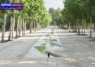 پروژه گردشگری باغ ایرانی شهرداری شیراز در آستانه بهره‌برداری قرار گرفت/ اسدی: طراحی این باغ تلفیقی از سنت و مدرنیته است