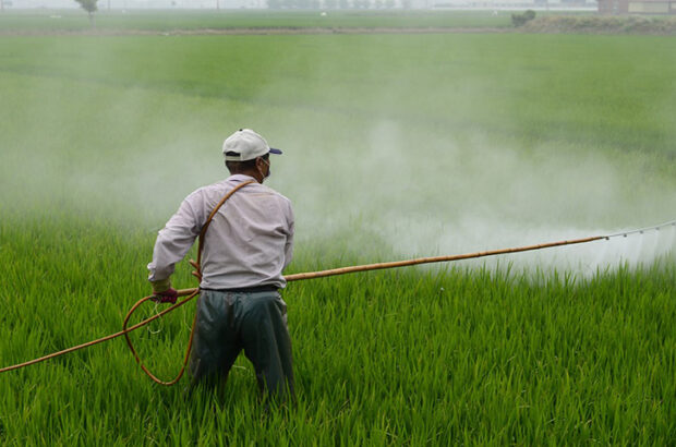 تهدید سموم کنترل آفات و بیماری‌ها در محصولات کشاورزی و مصرف‌کنندگان/ تولید محصولات سالم و شناسنامه‌دار با نهاده‌های ارگانیک