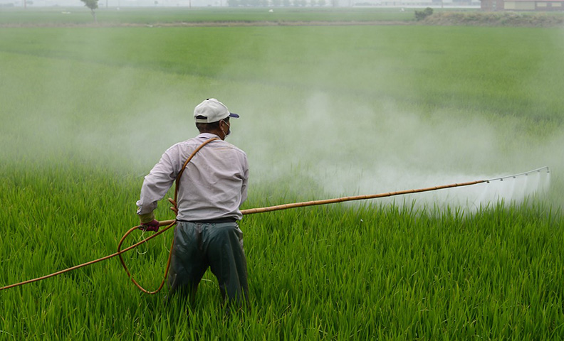 تهدید سموم کنترل آفات و بیماری‌ها در محصولات کشاورزی و مصرف‌کنندگان/ تولید محصولات سالم و شناسنامه‌دار با نهاده‌های ارگانیک