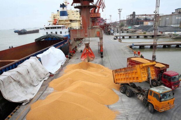 واردات نهاده‌های دامی جدید در بنادر دریایی شمال و جنوب ایران/ شیرزاد: بازار نهاده‌های کشور تا شش ماه آتی در آرامش کامل است