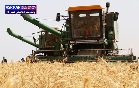 برداشت گندم فارس در شهرستان‌های جنوبی آغاز شده است/ بزرگترین ناوگان برداشت غلات کشور به فارس تعلق دارد/ اجرای توسعه کشت دیم در ۱۶ شهرستان با بیمه کشاورزی/ دهقان‌پور: میزان تولید گندم امسال یک میلیون و صدهزار تن پیش‌بینی می‌شود