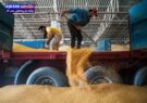 تعاون روستایی فارس در سنگر امنیت غذایی خدمت‌رسانی می‌کند/ احمدی‌زاده: ماموریت ملی ما در خریدها بدون هیچ مشکلی ادامه داد