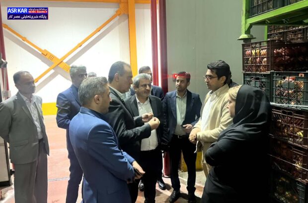 زنجیره تولید با تعاونیهای کشاورزی تقویت میشود/ فارس در توسعه زیرساخت روستابازارها پیشتاز است زنجیره تولید با تعاونیهای کشاورزی تقویت میشود/ فارس در توسعه زیرساخت روستابازارها پیشتاز است