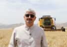 برداشت گندم در مزارع کشاورزی فارس آغاز شد/ بهجت‌حقیقی: پیش‌بینی ما تولید یک میلیون تن محصول است