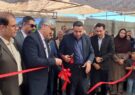 گلخانه فلفل دلمه‎ای در فارس با حضور رئیس‌جمهور افتتاح برخط شد/ بهجت‌حقیقی: مسیر توسعه صادرات غیرنفتی با تولیدکنندگان پیشرو هموار می‌شود