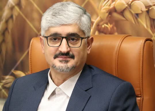 پرونده اختلاف ملکی ۶۰ پلاک زمین در فارس تعیین‌تکلیف شد/ بهجت‌حقیقی: رفع تداخلات ارضی باعث تثبیت مالکیت‌ها می‌شود