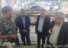 سبد خرید شهروندان شیراز در روستابازارها تامین می‌شود/ احمدی‌زاده: هدف ما عرضه کالاهای کشاورزی با حذف واسطه‌ها است