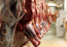 تولید گوشت قرمز در بیضا از مرز دو هزار و ۶۰۰ تن عبور کرد!/ مویدی: توزیع گوشت قرمز منجمد تنظیم بازار همچنان ادامه دارد