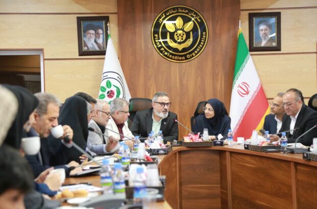 دستاوردهای دولت در هفته جهاد کشاورزی تبیین شود/ حسینی: روایت عملکردها نقش مهمی در امنیت غذایی دارد