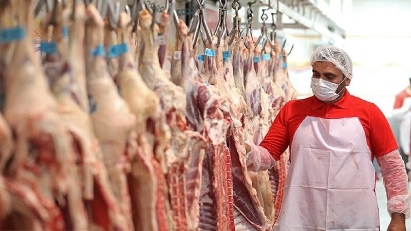 واردات گوشت قرمز با هدف تنظیم بازار مصرفی/ رنجبر: این اقدام با هدف ایجاد توازن بین تولید و بازار مصرف است