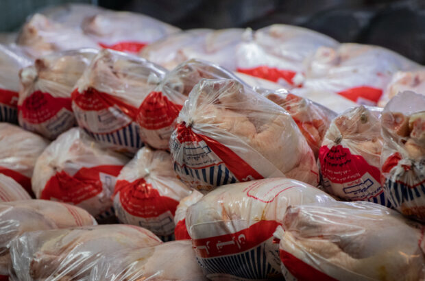 تولید مازاد گوشت مرغ در سردخانه‌ها ذخیره می‌شوند/ شیرزاد: شرایط نگهداری گوشت منجمد در رصد و پایش کنترل کیفی قرار دارد