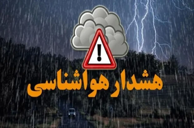 هشدار جهاد کشاورزی فارس با ورود سامانه بارشی اعلام شد/ نقیب: بهره‌برداران با اقدامات اضطراری از خسارات احتمالی پیشگیری کنند