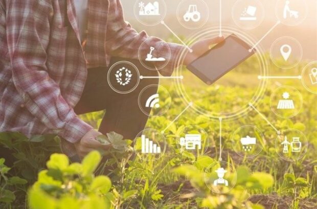 بکارگیری هوش مصنوعی یک رویکرد نوین و موثر در نظام  تولید/ دهقان‌پور: توسعه بخش کشاورزی باید بر پایه فناوری‌های نوآورانه باشد