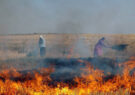 خسارات جبران‌ناپذیر سوزاندن بقایای گیاهی مزارع مدیریت شود/ دهقان‌پور: پیشگیری از این اقدام با افزایش آگاهی کشاورزان محقق می‌شود