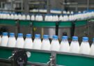دستیابی به تولید حدود ۱۵ میلیون تن شیرخام تا سال ۱۴۰۴/ حسن‌نژاد: ایران رتبه ۲۳ تولید شیر در جهان را دارد