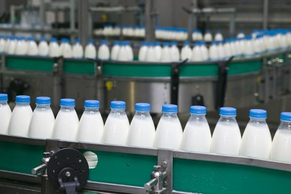 دستیابی به تولید حدود ۱۵ میلیون تن شیرخام تا سال ۱۴۰۴/ حسن‌نژاد: ایران رتبه ۲۳ تولید شیر در جهان را دارد
