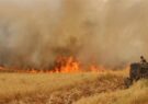 خاموشی شعله‌های آتش در مزارع با کشاورزی حفاظتی امکان‌پذیر است/ زمانی: آتش زدن بقایای گندم باعث مرگ تدریجی اراضی کشاورزی می‌شود