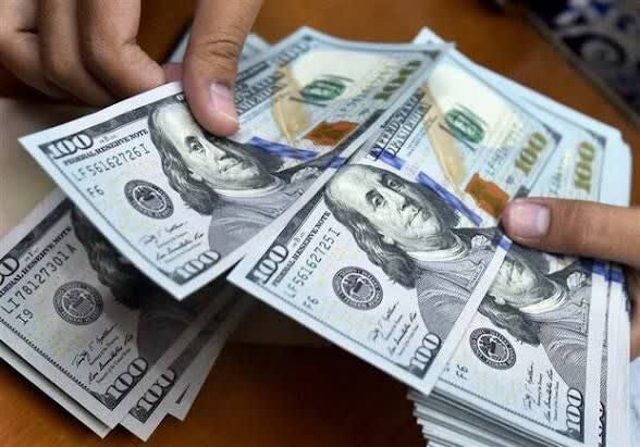 افزایش نرخ ارز ریشه در تورم و ضعف سیاست‌گذاری اقتصادی دارد/ قادری: راهکار مدیریت بازار ارز در هدایت نقدینگی به تولید است