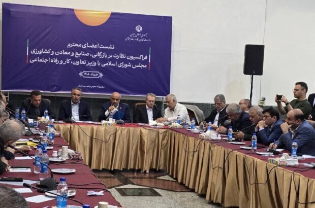 مجلس به سوءمدیریت در هواپیمایی آسمان تذکر داد/ رضایی‌کوچی: منابع اقتصادی وزارت کار نیازمند مدیریت صحیح است