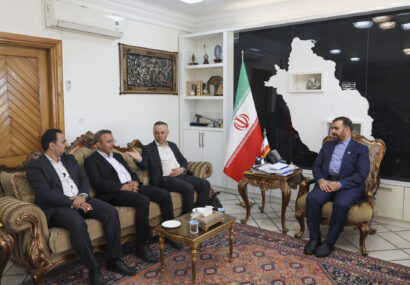 شبکه استانی قانون اساسی در فارس تشکیل می‌شود/ امیری: وظیفه دولت نهادینه‌ کردن حاکمیت قانون در جامعه است