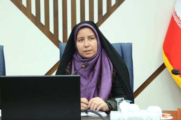 الگوی مصرف انرژی بازتاب فرهنگ یک خانواده معرفی شد/ ذوالقدر: مصرف مسئولانه برق احترام به حقوق دیگران است