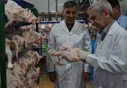 نظارت بهداشتی در دامپزشکی فارس خط قرمز است/ ناظمی: اعتماد عمومی با انعکاس عملکردها تقویت میشود