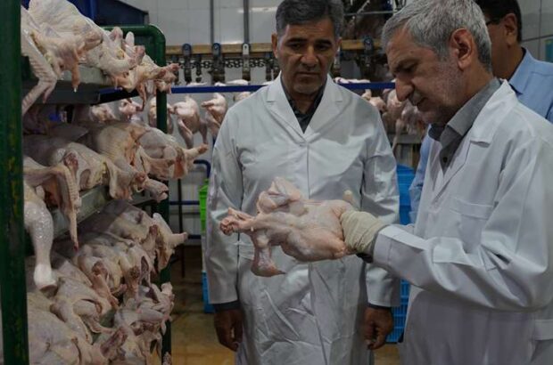 نظارت بهداشتی در دامپزشکی فارس خط قرمز است/ ناظمی: اعتماد عمومی با انعکاس عملکردها تقویت میشود نظارت بهداشتی در دامپزشکی فارس خط قرمز است/ ناظمی: اعتماد عمومی با انعکاس عملکردها تقویت میشود