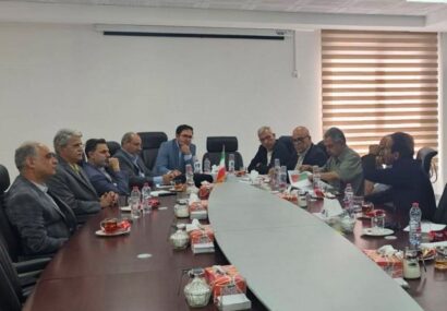 پرداخت مطالبات داروخانه‌های فارس در سطح ملی پیگیری می‌شود/ موسوی: تخصیص منابع مالی در اختیارات مسئولان استانی نیست