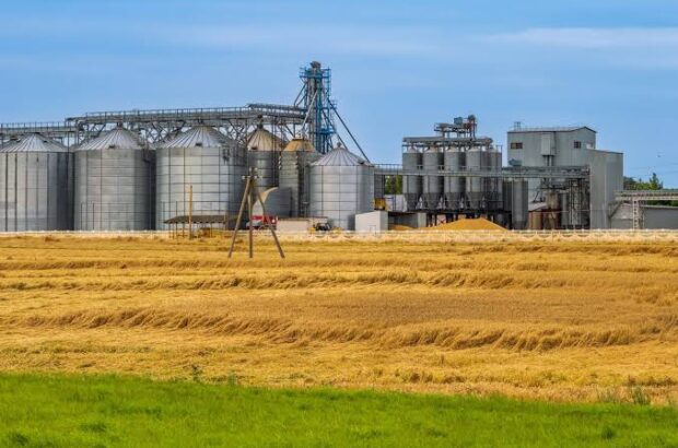 مزایده جدید مجتمع طیور فارس اعلام شد/ اجاره ۲۰ سیلوی ذخیره‌سازی محصولات در مرودشت