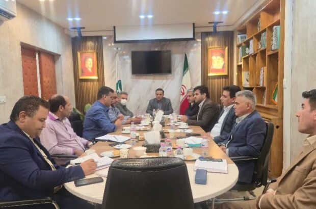 کشت قراردادی از صنعت دام پشتیبانی می‌کند/ امیری: در تامین مالی این زنجیره ارزش آمادگی داریم/ احمدی‌زاده: تامین نهاده‌های دامی باعث کاهش ریسک تولیدکنندگان می‌شود