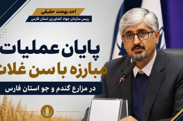 مبارزه با آفات گندم و جو در فارس با همت شبکه مراقبت پایان یافت/ بهجت‌حقیقی: پایش و رصد مزارع غلات در امنیت غذایی نقش کلیدی دارد