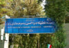 نخستین واکسن سه‌گانه آبزیان کشور در شیراز تولید می‌شود/ شیرازی‌نژاد: این اقدام باعث کاهش تلفات و ارتقاء امنیت زیستی خواهد شد