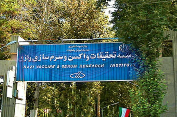 نخستین واکسن سه‌گانه آبزیان کشور در شیراز تولید می‌شود/ شیرازی‌نژاد: این اقدام باعث کاهش تلفات و ارتقاء امنیت زیستی خواهد شد