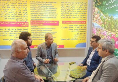 رویداد شیرازاکسپو به توسعه اقتصاد تعاونی‌‌ها کمک می‌کند/ احمدی‌زاده: تعاون روستایی فارس از تولید در مزرعه تا بازارهای جهانی ماموریت دارد