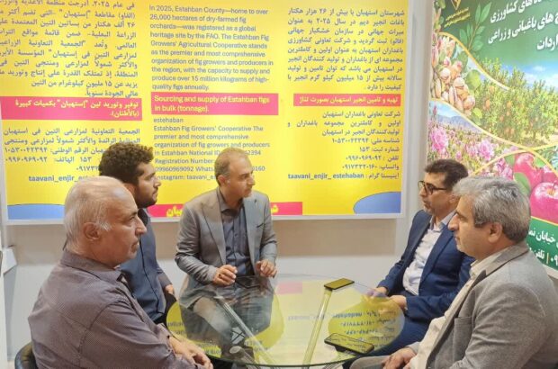 رویداد شیرازاکسپو به توسعه اقتصاد تعاونی‌‌ها کمک می‌کند/ احمدی‌زاده: تعاون روستایی فارس از تولید در مزرعه تا بازارهای جهانی ماموریت دارد