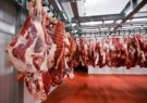 توزیع گوشت گرم گوساله وارداتی در فارس آغاز شد/ دهقان‌پور: واردات گوشت قرمز بدون محدودیت و با هدف تنظیم بازار انجام می‌شود