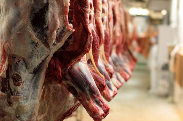 تولید گوشت قرمز در بیضا از مرز دو هزار و ۶۰۰ تن عبور کرد!/ مویدی: توزیع گوشت قرمز منجمد تنظیم بازار همچنان ادامه دارد