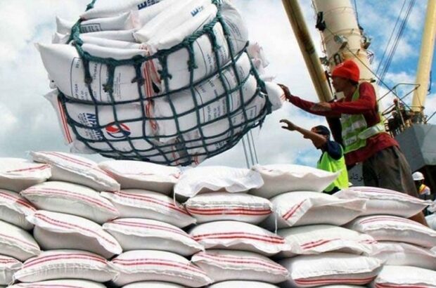 برنج هندی با اهدف تنظیم بازار وارد فارس می‌شود/ جمالی: این اقدام به منظور ترمیم بخشی از ذخایر استراتژیک استان است