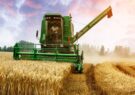 خرید تضمینی گندم امسال از مرز ۴ میلیون تن عبور کرد/ راد: پرداخت مطالبات کشاورزان در دست پیگیری و اقدام است